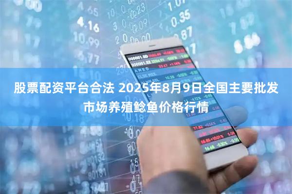 股票配资平台合法 2025年8月9日全国主要批发市场养殖鲶鱼价格行情